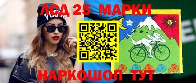 спиды Краснознаменск