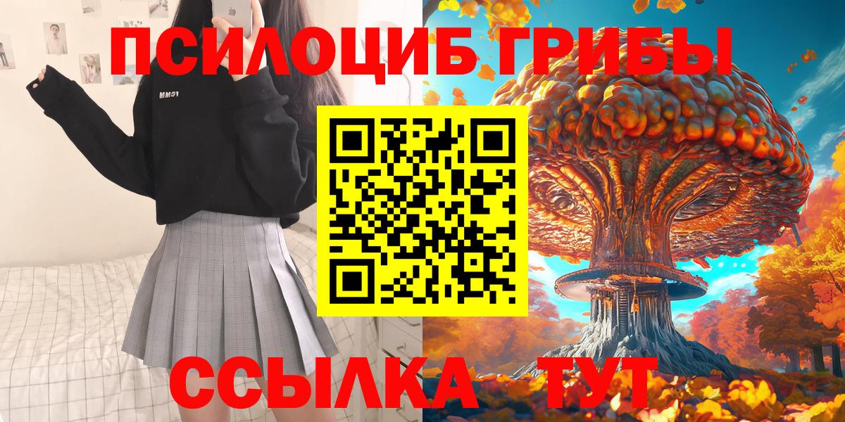 наркотики  Вход с VPN  Королёв  Псилоцибиновые грибы прущие грибы 