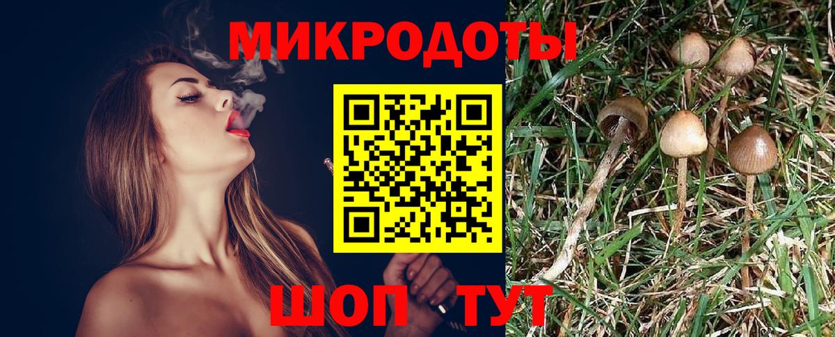Псилоцибиновые грибы прущие грибы Королёв